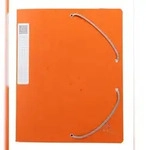 Exacompta 14017H 10x Archivbox Cartobox, flach geliefert R&uuml;cken 40mm aus