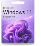 Microsoft Windows 11 Enterprise