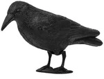 Vogelschreck Vogelabwehr Rabe Bradas CTRL-BR101