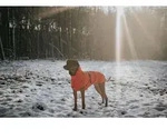HUNTER Hundemantel Nordby Mops & Co. 36, orange