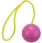 TRIXIE Ball am Seil, Naturgummi, &Oslash; 7 / 30 cm