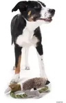 HUNTER Hundespielzeug Wildlife Training Duck 27 cm