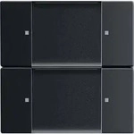 Busch-Jaeger Wandsender 6736/01-885