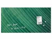 Glas-Magnettafel Artverum 91x46cm Palm Leaf matt