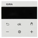 Gira RTR BT System 539427