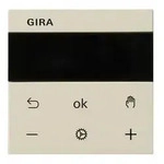 Gira RTR Display 539301