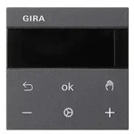 Gira RTR BT System 539428