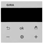 Gira Raumtemperaturregler-Displ 5393015