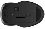 HP 255 - Maus - optisch - 3 Tasten - kabellos