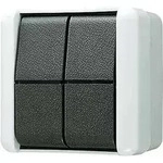 Jung Doppel-Taster 10AX 250V 839 NAW
