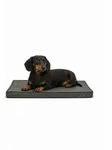 lionto Hundematte orthop&auml;disch, druckentlastende Memory-Foam Liegefl&auml;che,