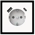 Busch-Jaeger SCHUKO-/USB-A+C Steckdose 20 EUCB2USBAC-44M