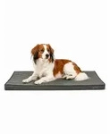 lionto Hundematte orthop&auml;disch, druckentlastende Memory-Foam Liegefl&auml;che,