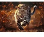 TREFL Puzzle Premium Plus Photo Odyssey: Wilder Leopard 1000 Teile