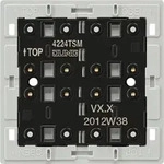 Jung Tastsensor-Modul 2-fach 4224 TSM
