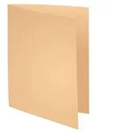 EXACOMPTA Aktendeckel FOREVER 250, DIN A4, chamois