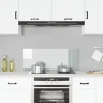 vidaXL K&uuml;chenr&uuml;ckwand Transparent 100&times;40 cm Hartglas