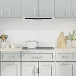 vidaXL K&uuml;chenr&uuml;ckw&auml;nde 2 Stk. Transparent 80x50 cm Hartglas