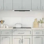 vidaXL K&uuml;chenr&uuml;ckw&auml;nde 2 Stk. Transparent 80x40 cm Hartglas
