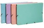Exacompta 4x F&auml;chermappe mehrfarbig Karton 12 F&auml;cher 34x245cm sortiert 58560E