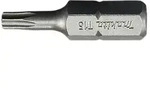 Makita Bit T15x25 mm 25 St. - B-24636