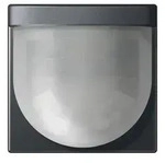 Jung Automatik-Schalter A 17280 ANM