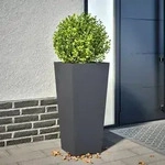 vidaXL Pflanzk&uuml;bel Anthrazit 35x35x75 cm Stahl
