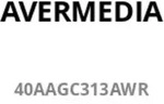 AVerMedia Ladedock, EliteGO (GC313Pro) Black, 100W GaN, HD