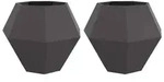 vidaXL Pflanzk&uuml;bel 2 pcs Schwarz 100 x 100 x 80 cm Stahl