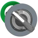 Schneider Electric Leuchtdrucktaster ZB5FKCUST02