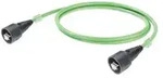 RJ45 Netzwerk Anschlusskabel CAT 5, CAT 5e SF/UTP 10m Gr&uuml;n Flammwidrig, mit