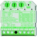 Schalk Funk-Empf&auml;ngerschalter FE3 D2