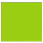 vidaXL Verdunkelungsrollo Gr&uuml;n 155x150cm Stoffbreite 151,6cm Polyester