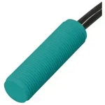 Pepperl+Fuchs Fabrik Sensor NBN4-12GK50-E2