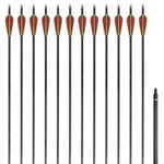"vidaXL Recurvebogen-Pfeile 30" 0,76 cm Carbon 12 Stk."