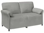 vidaXL 2-Sitzer Sofa Hellgrau 158 x 83 x 95 cm Samt