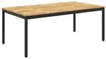 vidaXL Gartentisch Wei&szlig; und Schwarz 196 x 100,5 x 75 cm