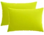 vidaXL Kissenbezug 2 pcs HEERLEN Hellgr&uuml;n 50 x 80 cm Polyester