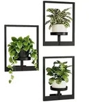 Bamworld Wandbehang Pflanzgef&auml;&szlig;e f&uuml;r Zimmerpflanzen 3 Set Wand Blumenst&auml;nder