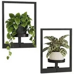 Bamworld Wandbehang Pflanzgef&auml;&szlig;e f&uuml;r Zimmerpflanzen 2 Set Wand Blumenst&auml;nder