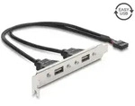 Delock USB 2.0 Slotblech mit 2 x EASY USB Typ-A Port