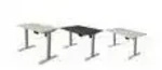 kerkmann Sitz-Steh-Schreibtisch Move 1, (B)1.000 mm, grau
