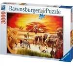 Puzzle Stolz Massai 3000P