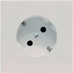 Jung SCHUKO-Steckdose lgr LS 520-45 LG
