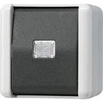 Jung Taster 10AX 250V 833 W