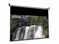 Celexon Home Cinema electric screen - Leinwand - Deckenmontage möglich, geeignet