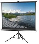 Celexon Economy 1090020 Stativleinwand Bildformat: 4:3