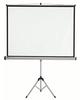 Stativ-Leinwand 150x113,8cm grau