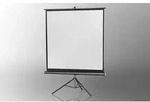 Celexon Stativ Economy 1090018 Stativleinwand 244 x 244cm Bildformat: 1:1