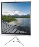 Celexon Stativ Economy 1090271 Stativleinwand 219 x 219cm Bildformat: 1:1